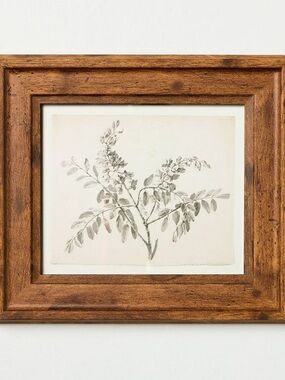 8x9 Sketched Branches Wall Art Framed - Hearth & Hand™ with Magnolia